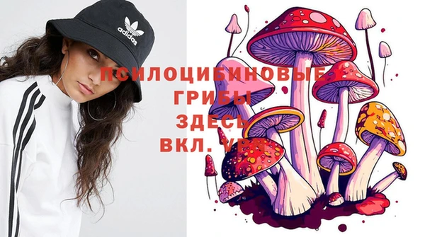 гашик Лабытнанги