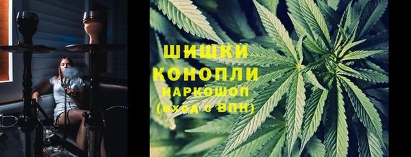 крисы Лагань