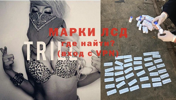 крисы Лагань