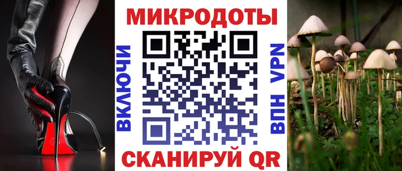 Псилоцибиновые грибы мицелий  Купить  Петров Вал 